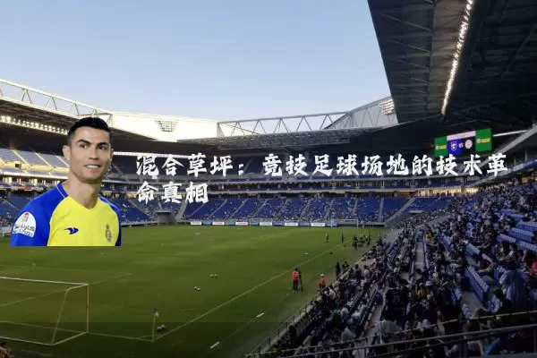 混合草坪：竞技足球场地的技术革命真相